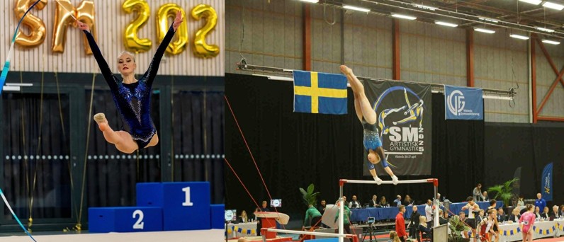 NIU Gymnastikbild_hemsidan.jpg