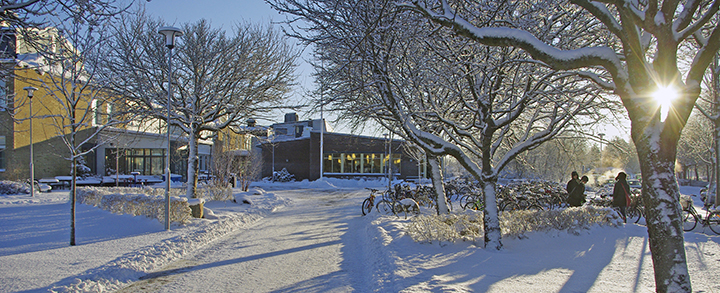 celsius vinter 720.jpg